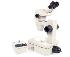 Estereomicroscópio (lupa) binocular zoom 90x, espe